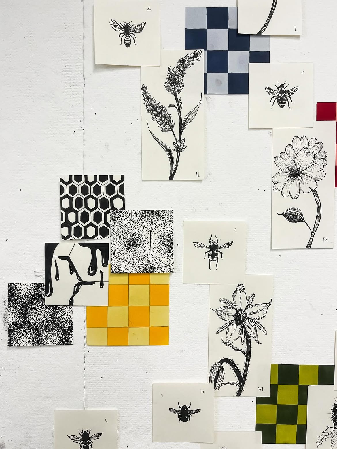The Bee Project, image 3 of 4